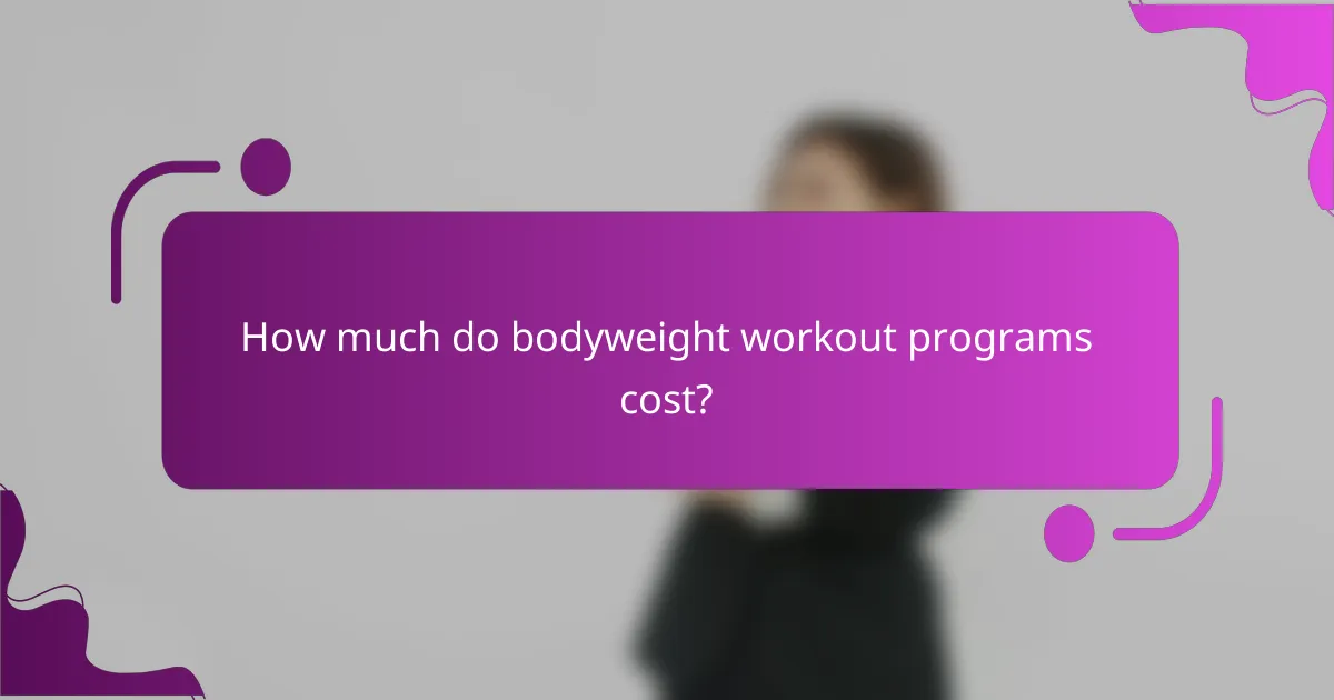 How much do bodyweight workout programs cost?